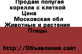 Продам попугая корелла с клеткой › Цена ­ 5 000 - Московская обл. Животные и растения » Птицы   